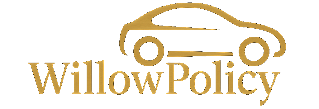 Willow Policy